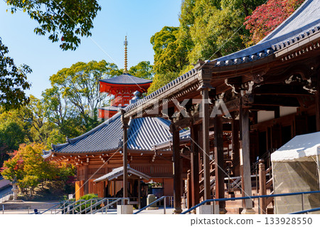 神戶的蘇門寺 133928550