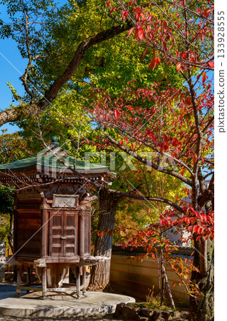 神戶 - 須磨寺的秋葉 133928555