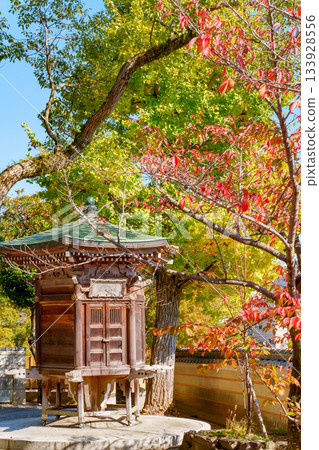 神戶 - 須磨寺的秋葉 133928556