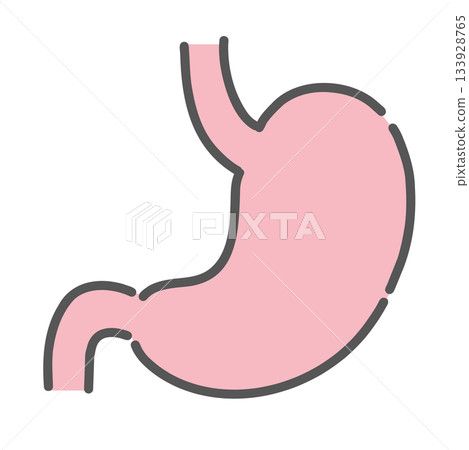 Illustration of the stomach Illustration of the stomach 133928765