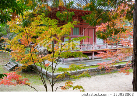 Autumn Kobe, Taisanji, Mie Tower and Autumn Leaves Autumn Kobe, Taisanji, Mie Tower and Autumn Leaves 133928808