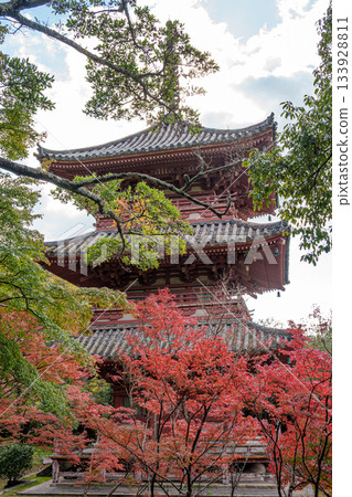 Autumn Kobe, Taisanji, Mie Tower and Autumn Leaves 133928811