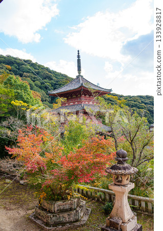 秋天的神戶,太山寺,三重塔和秋天的落葉 秋天的神戶,太山寺,三重塔和秋天的落葉 133928817