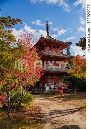 秋天的神戶，太山寺，三重塔和秋天的落葉 133929038