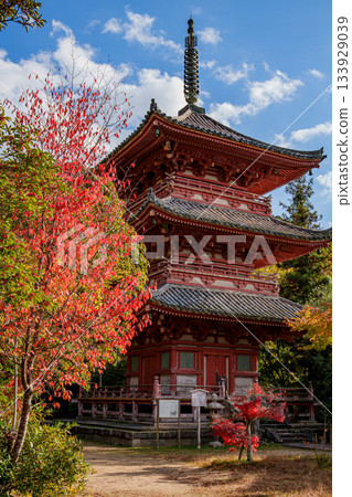 Autumn Kobe, Taisanji, Mie Tower and Autumn Leaves Autumn Kobe, Taisanji, Mie Tower and Autumn Leaves 133929039