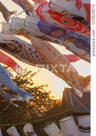 鈴川鯉魚旗（神奈川縣平塚市） 133929078