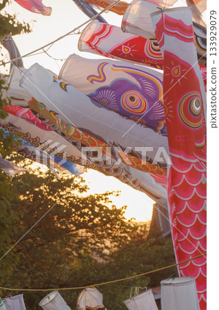 鈴川鯉魚旗(神奈川縣平塚市) 鈴川鯉魚旗(神奈川縣平塚市) 133929079