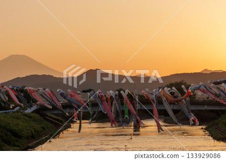 Suzukawa carp streamers, sunset, and Mount Fuji (Hiratsuka City, Kanagawa Prefecture) 133929086