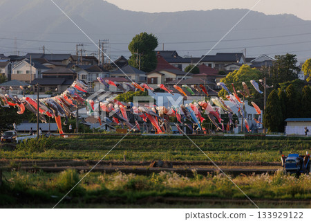Suzukawa carp streamers and sunset (Hiratsuka City, Kanagawa Prefecture) Suzukawa carp streamers and sunset (Hiratsuka City, Kanagawa Prefecture) 133929122