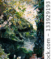 山澗岩石區，覆蓋著美麗的綠色苔蘚 133929193