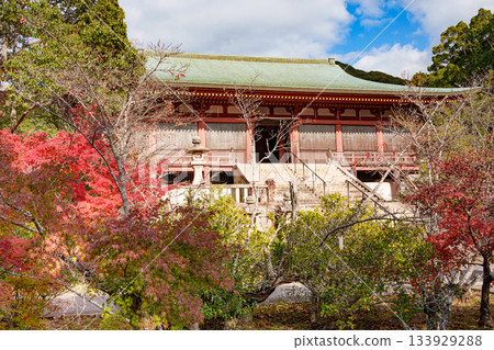 秋天的神戶，太山寺，本堂和秋葉 133929288