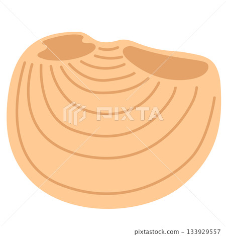 Galet Catalan Christmas Pasta Cartoon Vector Illustration Isolated on White Background Galet Catalan Christmas Pasta Cartoon Vector Illustration Isolated on White Background 133929557