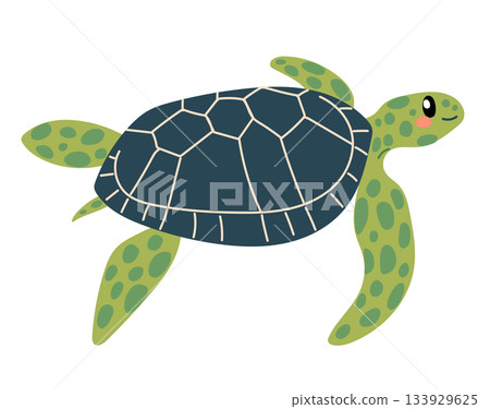 Sea Turtle Cartoon Character Vector Illustration 133929625