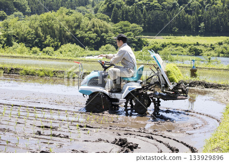 一位年輕的稻農正在用插秧機插秧。 一位年輕的稻農正在用插秧機插秧。 133929896