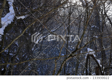 Snowy mountains 133930022