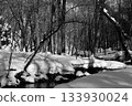 A snowy forest 133930024