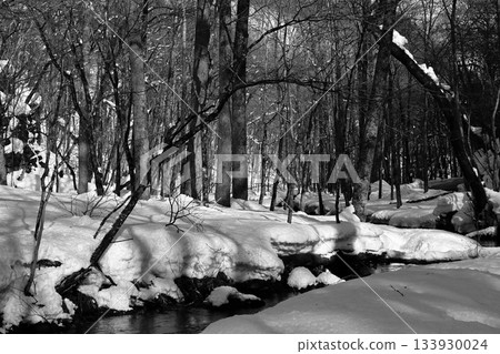 A snowy forest 133930024