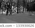 A snowy forest 133930026