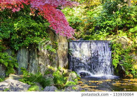 東京 小石川後樂園 白絲瀑布 紅葉風景 國家特別史蹟 東京 小石川後樂園 白絲瀑布 紅葉風景 國家特別史蹟 133930064