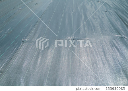 sheet, land, soil 133930085