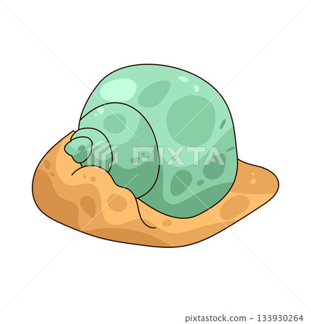 illustration of Seashell illustration of Seashell 133930264