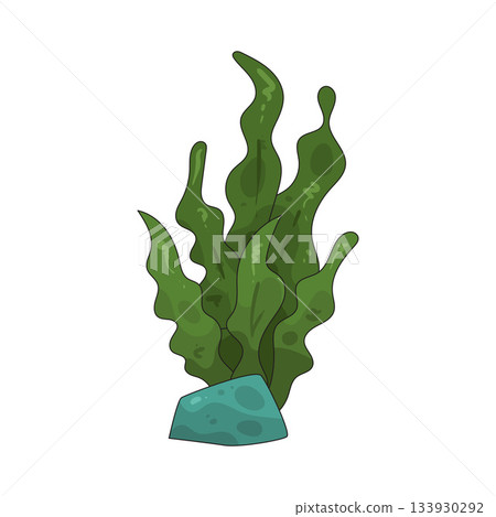 illustration of Seaweed 133930292