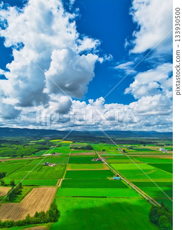 北方土地夏季 133930500