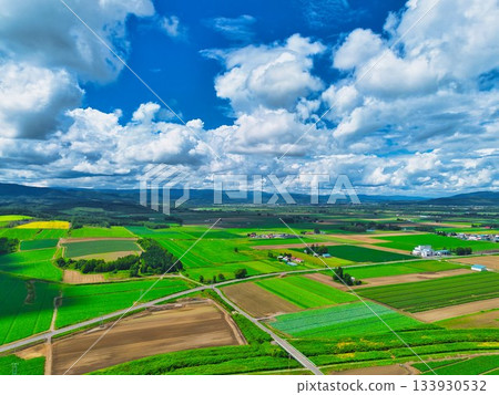 北方土地夏季 133930532