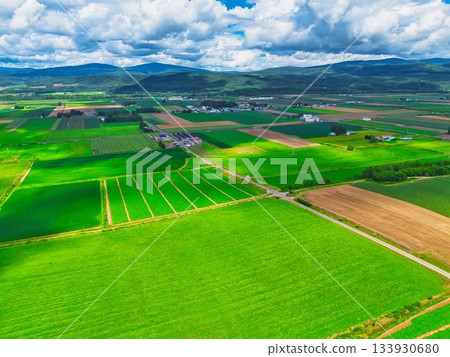 北方土地夏季 133930680