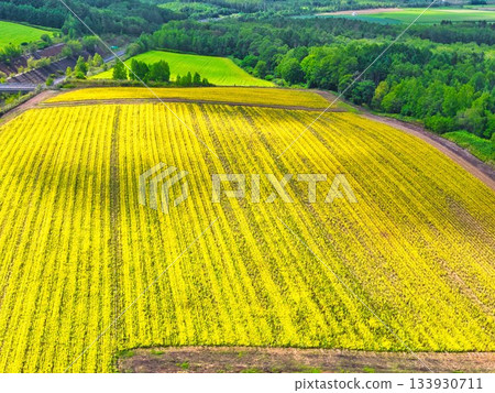 Northern Lands Summer Northern Lands Summer 133930711