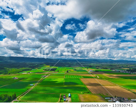 Northern Lands Summer Northern Lands Summer 133930743