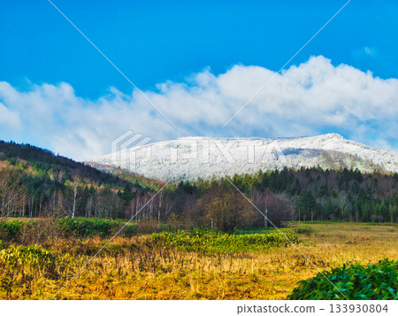 Fall landscape 133930804