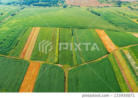 Aerial view of cultivated soy and wheat field in summer. Rural landscape 133930871