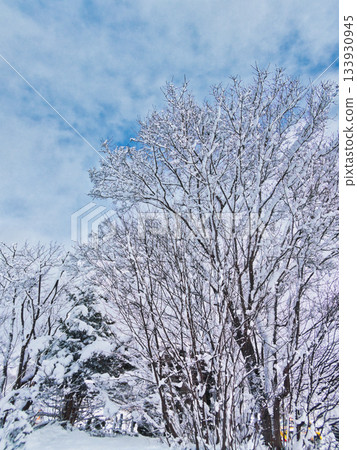 Early winter Early winter 133930945