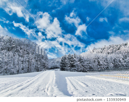 Early winter 133930949