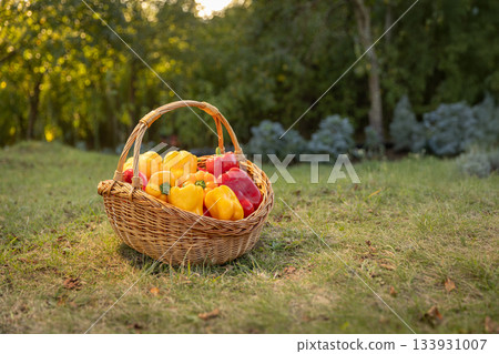 Organic yellow and red peppers Organic yellow and red peppers 133931007