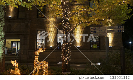 Illumination of Japan Boulevard Illumination of Japan Boulevard 133931312