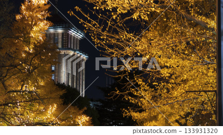 Illumination of Japan Boulevard 133931320