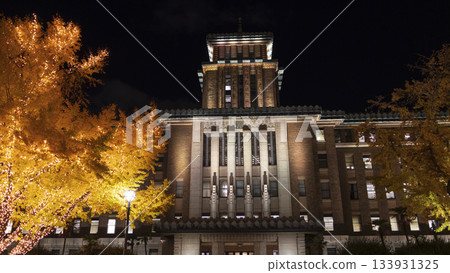 日本大道的照明 133931325