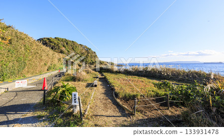 Winter at Kannonzaki in the Uraga Channel in Tokyo Bay 133931478