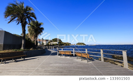 東京灣浦賀水道觀音崎的冬季 133931503