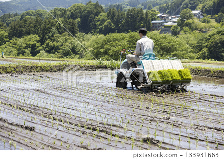 A young male rice farmer planting rice with a rice planting machine A young male rice farmer planting rice with a rice planting machine 133931663