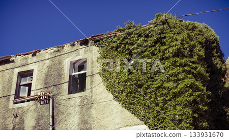 Weathered Building With Ivy Overgrowth Under Bright Blue Sky, Exposed Pipes, and Concrete Facade Texture Weathered Building With Ivy Overgrowth Under Bright Blue Sky, Exposed Pipes, and Concrete Facade Texture 133931670