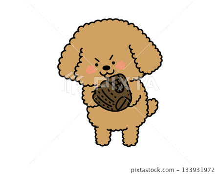 Let's play baseball! A dog who wants to play baseball 133931972