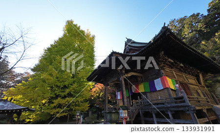 寺廟和秋葉 133931991