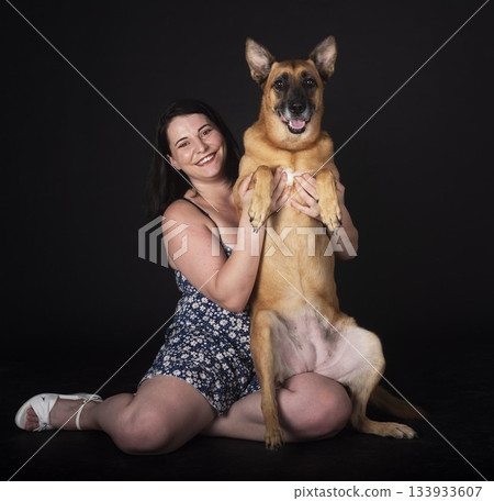 malinois in studio malinois in studio 133933607