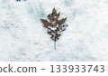 落葉落在雪地上 133933743