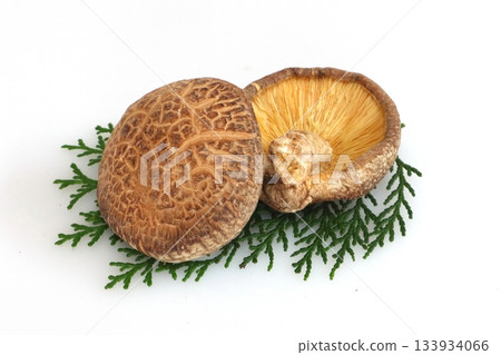 Dried shiitake mushrooms (from Oita Prefecture) Dried shiitake mushrooms (from Oita Prefecture) 133934066