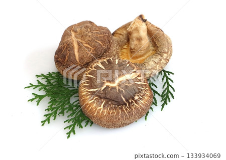 乾香菇（產自大分縣） 133934069