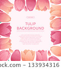 Colorful background with delicate tulips. The concept of a holiday, spring, women's day, Valentine's day. Vector illustration for the design of posters, flyers, postcards and invitations 133934316